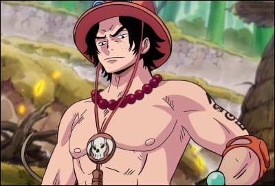 Qui est le frère de Luffy ?