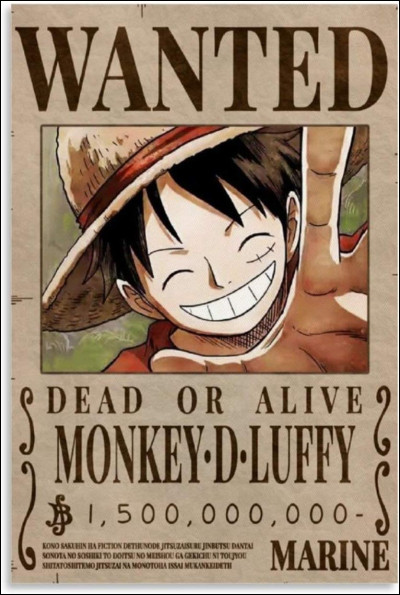 Combien de berrys offre la première prime de Luffy ?