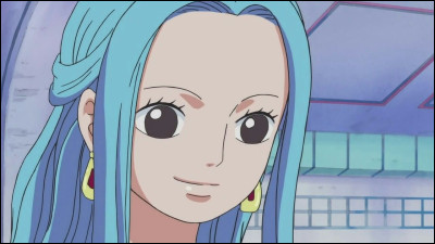 Qui est Nefertari D. Vivi ?