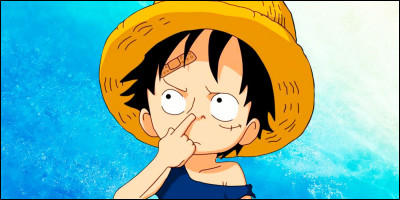 À quoi ressemble le drapeau de Luffy ?
