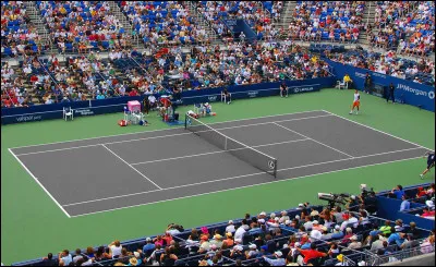 Qui est le plus jeune à avoir gagné les 4 tournois du Grand Chelem ?