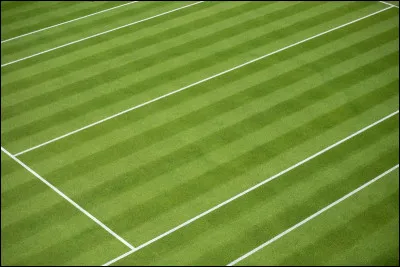 Qui a passé le plus de temps numéro 1 mondial en simple ?