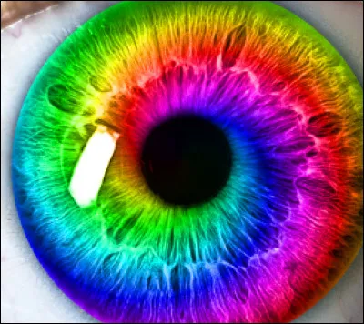 Quelle est la couleur des yeux de Plume de Faucon ?