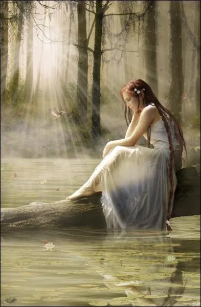 Dans la mythologie, les Ephydriades sont les nymphes qui peuplent :