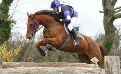 Comment découvre-t-il l'équitation dès 10 ans ?