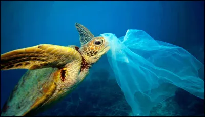 L'eau traitée est filtrée par du sable et des charbons actifs puis elle est stockée dans des châteaux d'eau ou des réservoirs souterrains et mises sous pression pour alimenter les habitations. Quel métal est utilisé pour enlever 90 % des particules en suspension ?