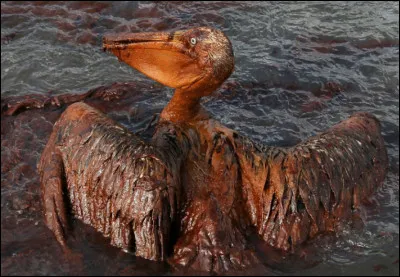 Le radon est un gaz invisible qui nest pas dangereux pour la santé.