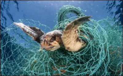Nous ne pouvons pas échapper à la pollution, lors de nos déplacements.