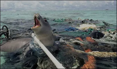 Nous sommes plus protégés de la pollution à lintérieur quà lextérieur.