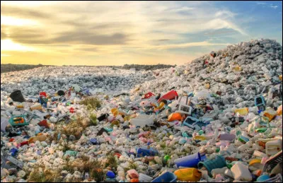 À cause de la pollution de lair, il est préférable de ne pas faire de sport en ville.
