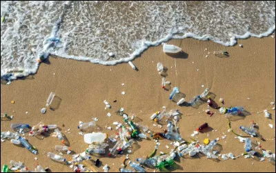 Quels déchets sont les plus présents dans les mers du monde ?