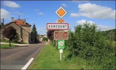 Nous sommes dans le Grand-Est, à l'entrée de Goncourt. Village d'origine des frères Goncourt et ancienne commune de l'arrondissement de Chaumont, il se situe dans le département ...