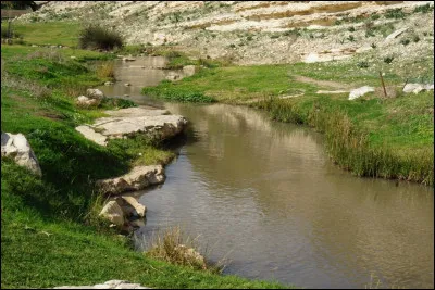 Quel est ce fleuve en J qui prend sa source au Liban et se jette dans la mer Morte, c'est un lieu de pèlerinage des chrétiens, car Jésus y fut baptisé ?