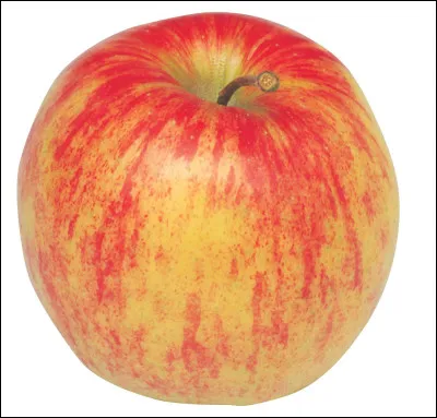 Quelle est cette variété de pomme en J, fruit juteux et parfumé au goût sucré et acidulé ?