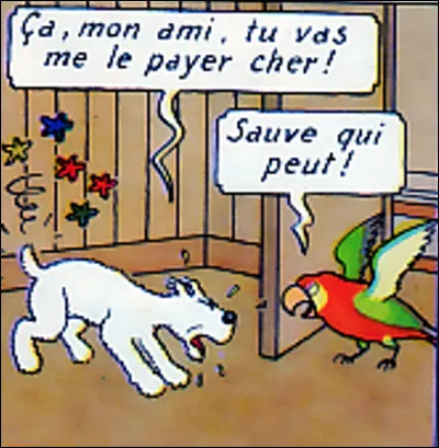 Quel est le nom en J du perroquet en conflit permanent avec Milou lors du voyage en bateau de Tintin vers le Congo ?