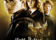 Quiz Quiz 'Harry Potter et le Prince de Sang-Ml'