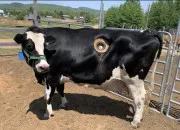 Quiz Culture g�n�rale