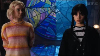 Qui sont ces deux personnages dans la s&eacute;rie "Mercredi" ?