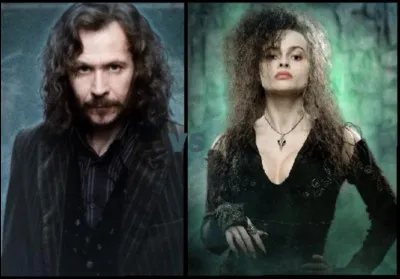 Quel est le lien familial entre Sirius Black et Bellatrix Lestrange ?