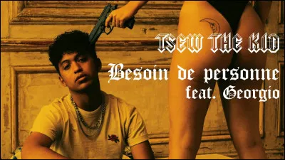 Qui chante "Besoin de personne" ?