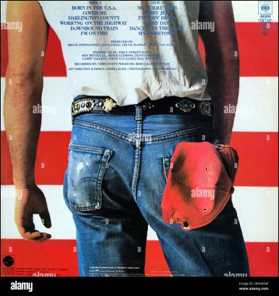 "Born in the USA" est une chanson de ...