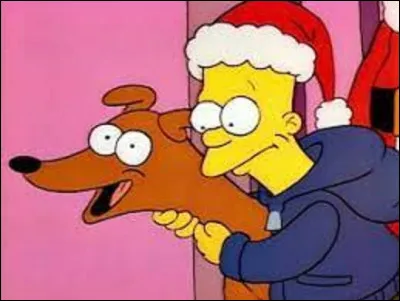 Dans la série ''Les Simpson'', quel est le nom du chien de cette famille qui n'apparaît que dans quelques épisodes ?