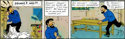 Pas l'temps d'en placer une ! À l'instar de Gaston qui éternue au moindre ''travail'' prononcé, Haddock a eu le malheur d'utiliser le mot-que-l'on-ne-doit-pas-prononcer en sa présence ! Mais la présence de qui ? Retrouvez-le grâce à l'objet.