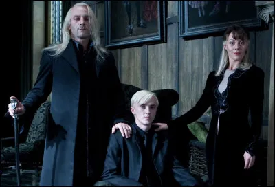 Comment Harry, Ron, Hermione, Dean, Gripsec, Luna et Ollivander parviennent-ils à s'échapper du manoir des Malefoy ?