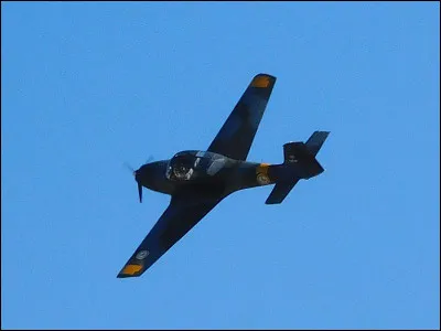 Combien y a-t-il de ponts au dessus du boulevard périphérique ?