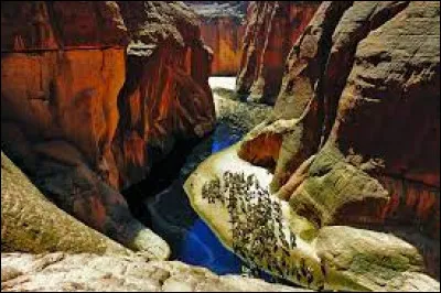 Où se situe le plateau de Ennedi ?