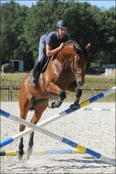 Comment appelle-t-on cet obstacle ?