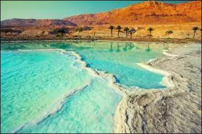 Quel pays voisin d'Israël a signé un accord de paix en 1994 ?