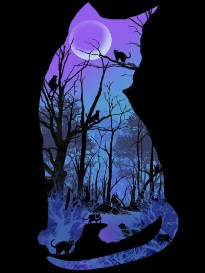 Tu le suis (désolé pour ceux qui n'avaient pas choisi de faire ça) et tu le vois avec un groupe de chats errants sur l'île de l'assemblée ; que fais-tu ?