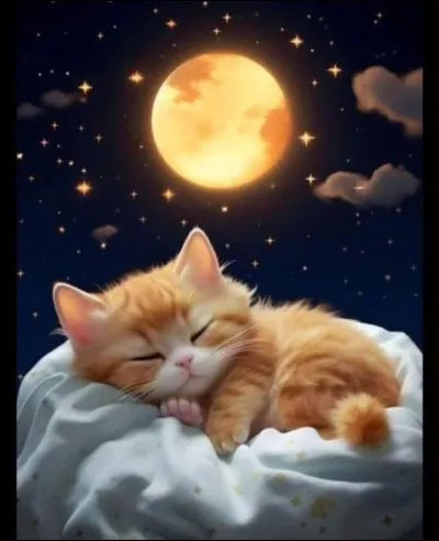 Une nuit, tu entends un bruit à l'entrée de la tanière des guerriers, tu vois ton mentor sortir du camp ; que fais-tu ?