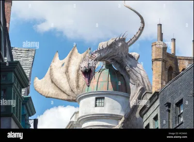 Quel est le dragon sur lequel montent Harry et ses amis ?