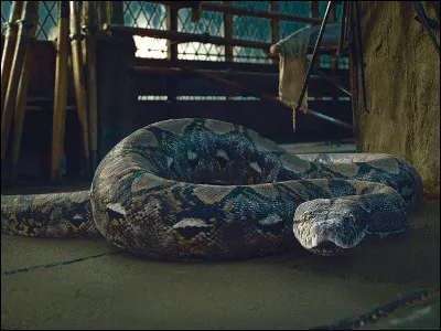 Qui décapite Nagini ?