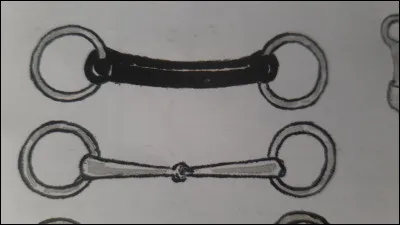 Comment s'appellent les mors ci-dessus ?