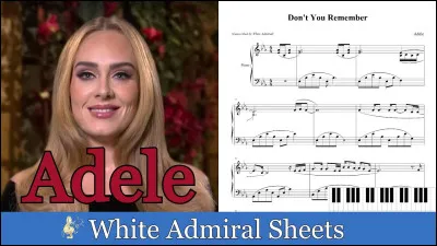 "Don't you remember" est un titre de la chanteuse ...