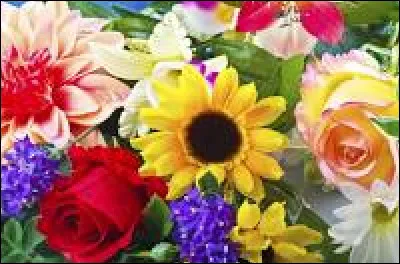 De toute façon, ta mère ne croit pas ton petit frère. Tu soupires de soulagement dans ta tête, et tu demandes à ta mère si tu peux sortir dehors. Par miracle, elle te dit oui. Tu sautes de ton lit, mais tu hésites pour les vêtements. Finalement, tu te décides et tu mets :