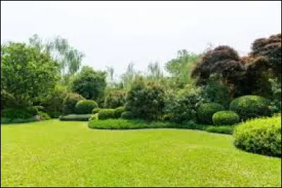 Tu t'es décidé(e), et tu vas dans ton jardin. Tu écoutes de la musique, et tu vois ton petit frère te tirer la langue du haut de la fenêtre.