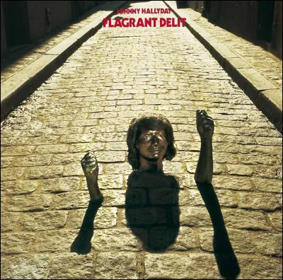 Qui chantait "Délit" ?