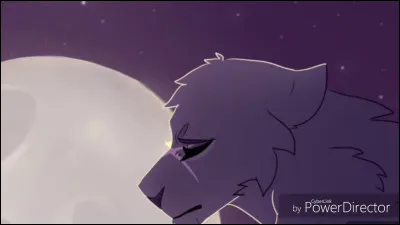 Comment bien de filles a eu Plume Grise ?