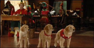 Quel est le nom de ce film ?