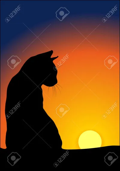 Cycle 5 - Fleur d'Etoile : pourquoi se nomme-t-elle ainsi ?