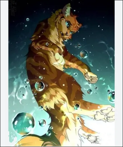 Cycle 4 - Plume de Flamme : pourquoi sa mère l'a baptisé du suffixe "Flamme" ?