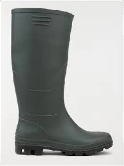 Avez-vous la carte en tête ? Regardez l'image et il vous sera facile de répondre correctement à la question.