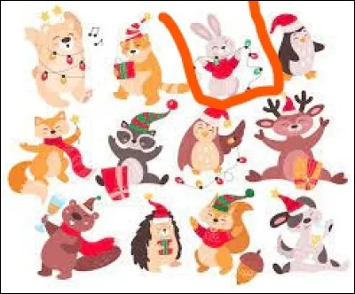 Nous passons maintenant à une autre image ! 
Quel est cet animal encadré ?