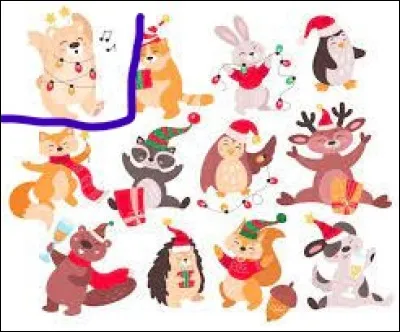 L'avant-dernier animal ! Qu'est-ce ?