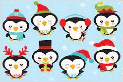 Qui sont ces mignonnes petites créatures ?