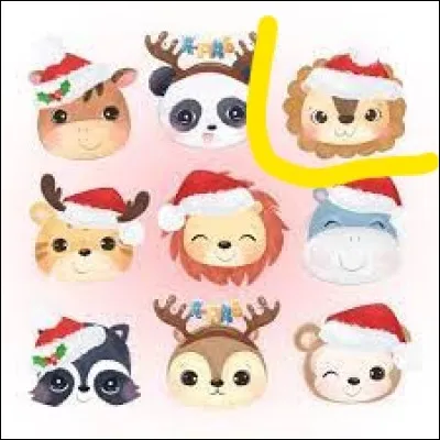 Maintenant, je vais vous montrer la même image avec différents animaux pour quelques questions ! 
Quel est l'animal encadré ?